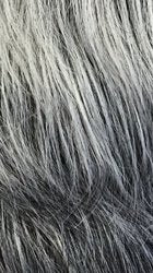 BFF Part Lace Starasia UNDETECTABLE LACE PART WIG