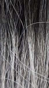 BFF Part Lace Lupine 20"