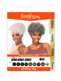 Destiny Wig-Afro Kinky Curly