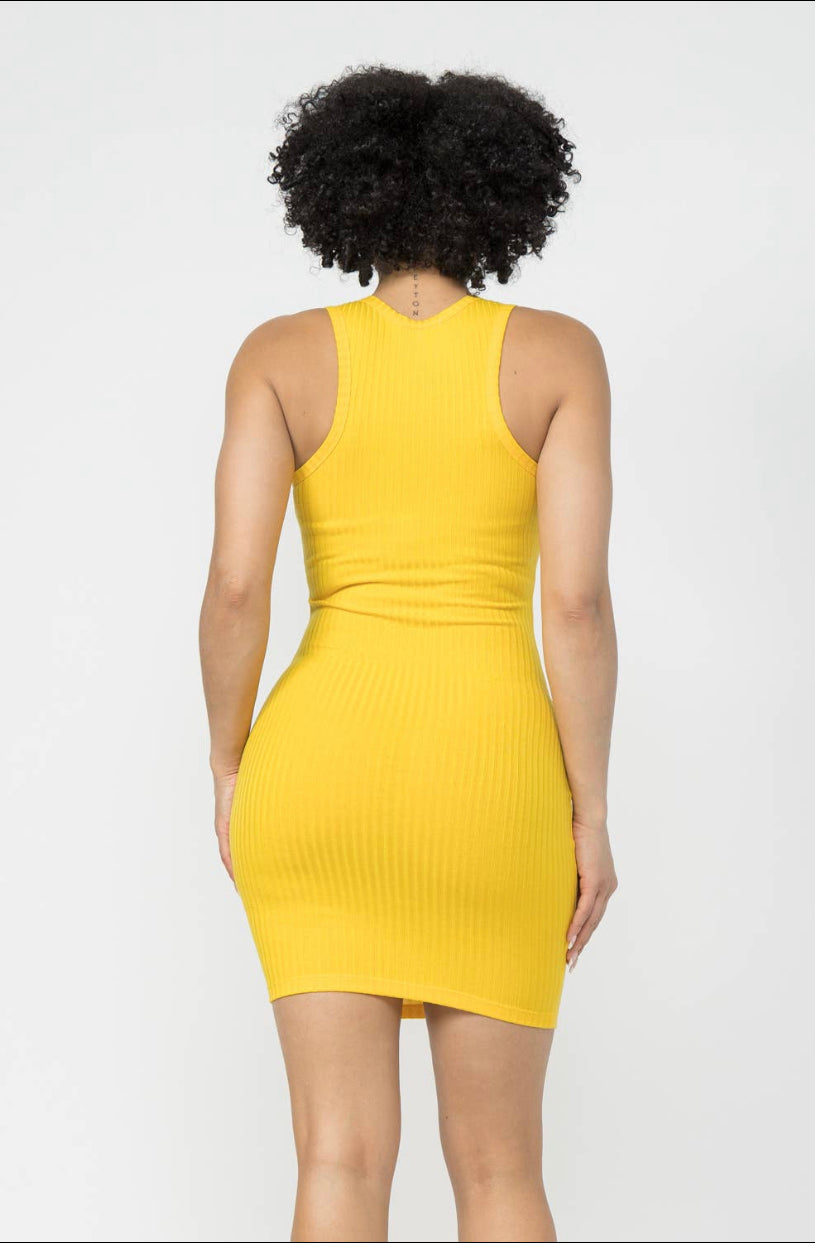 Super Rib Basic Tank Bodycorn Mini Dress