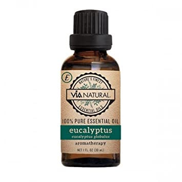 Eucalyptus Oil (1 oz)