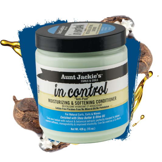 IN CONTROL CONDITIONER